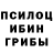 Псилоцибиновые грибы мицелий Damra Gezer
