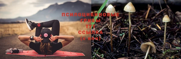 кокс Абинск
